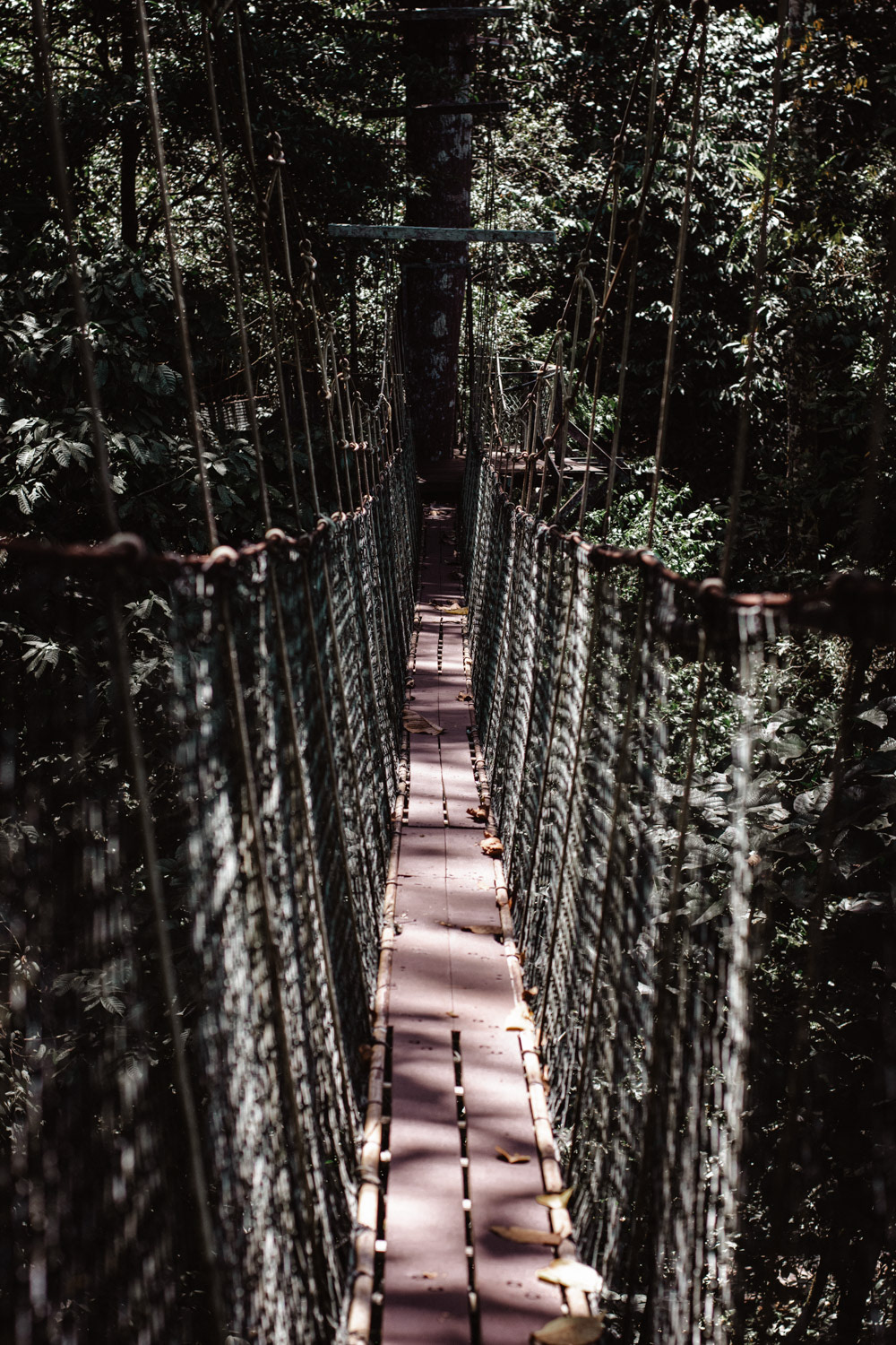 Mulu National Park, Malaysia, 2019.