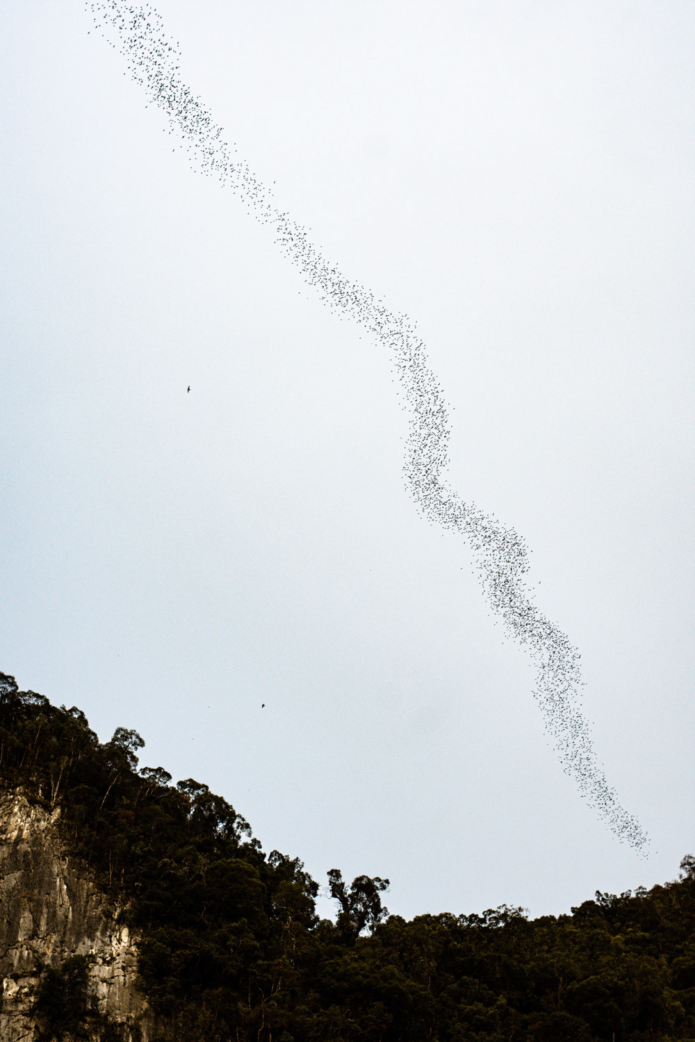 Mulu National Park, Malaysia, 2019.