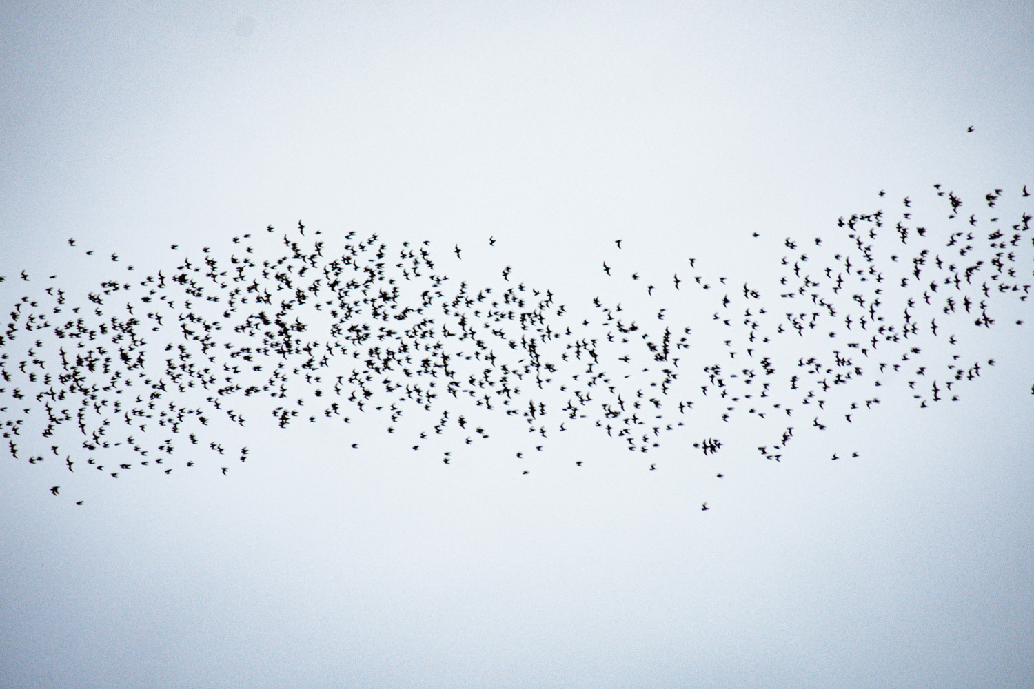 Mulu National Park, Malaysia, 2019.