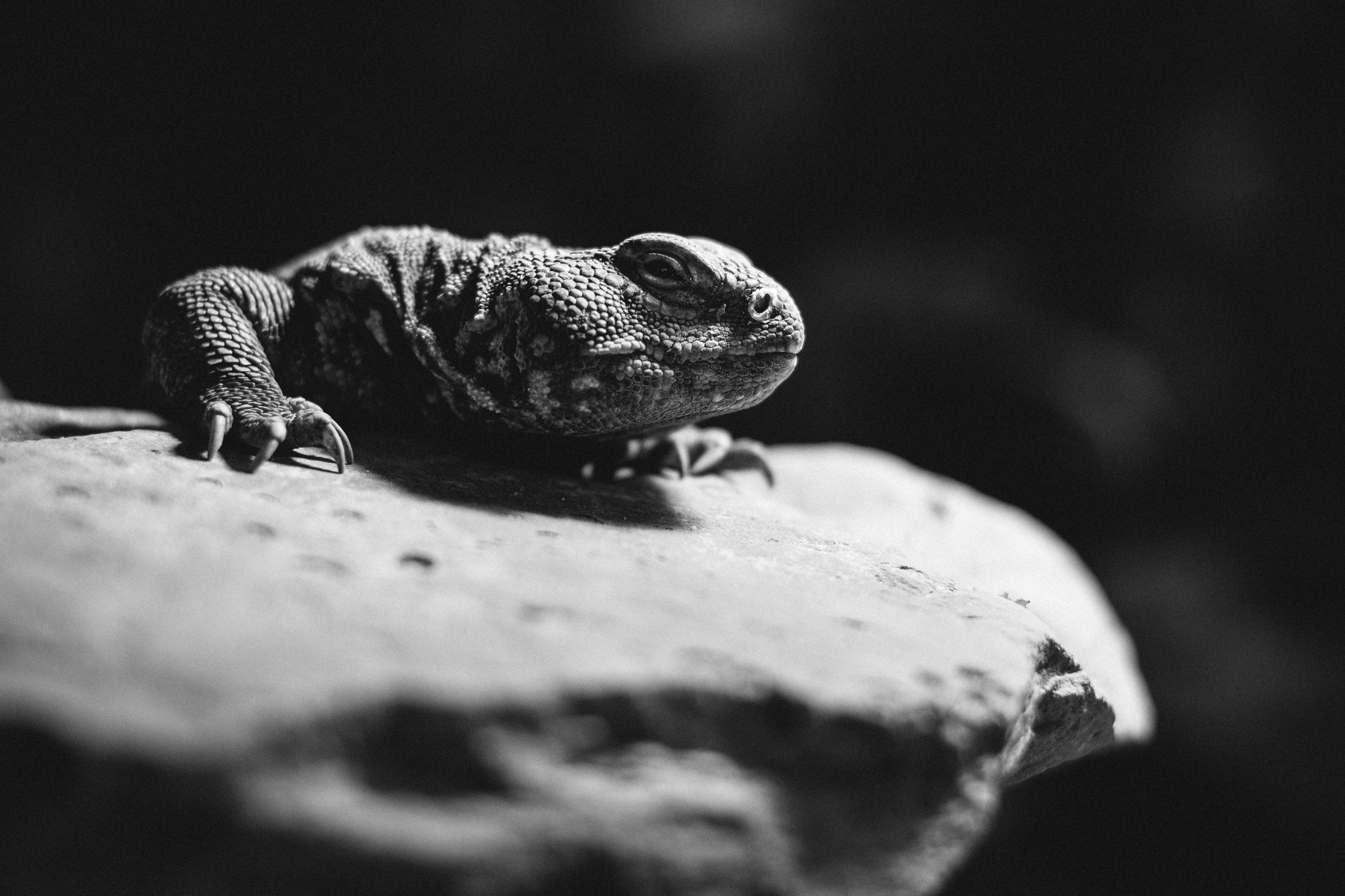 Zoo Wuppertal, 2018.