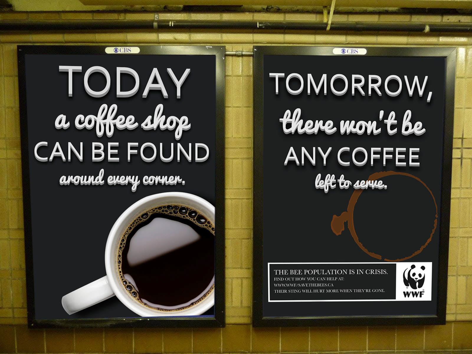 "Today, a coffee shop can be found around every street corner. Tomorrow, thee won't be any coffee left to serve."