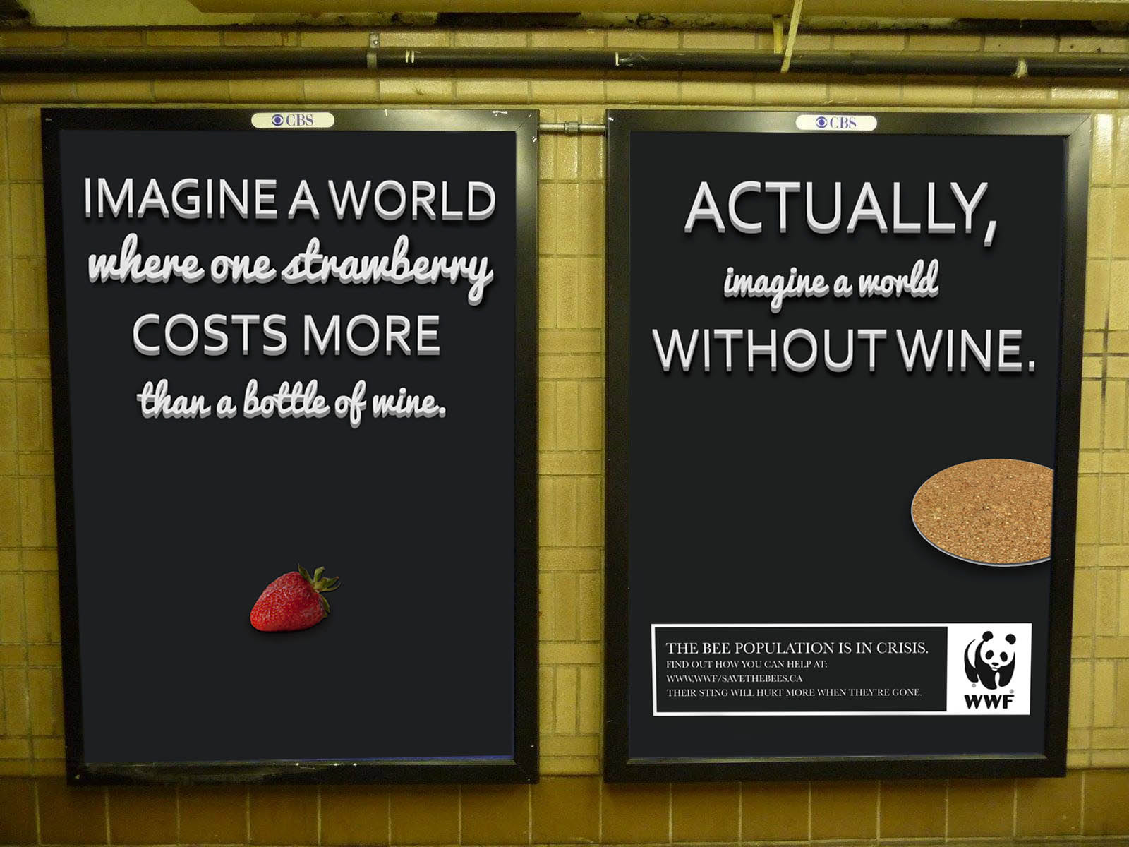 Imagine a world where one strawberry costs more than a bottle of wine. Actually, imagine a world without wine."