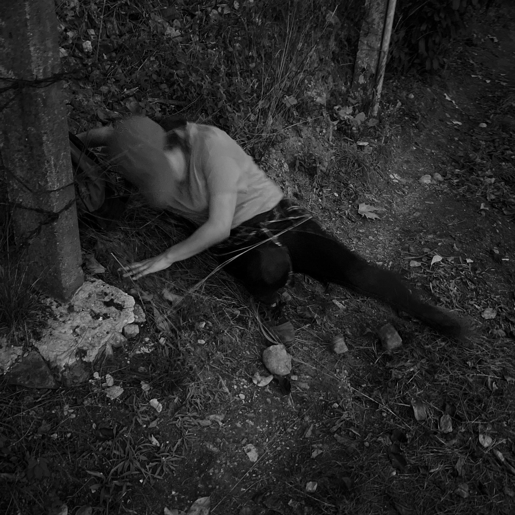 Sadık forest: a hole in a fence