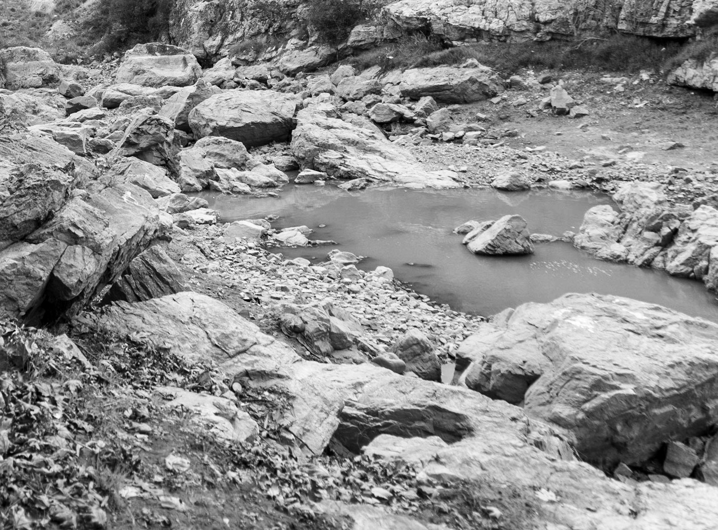 Paşaköy gorge: east of the dam