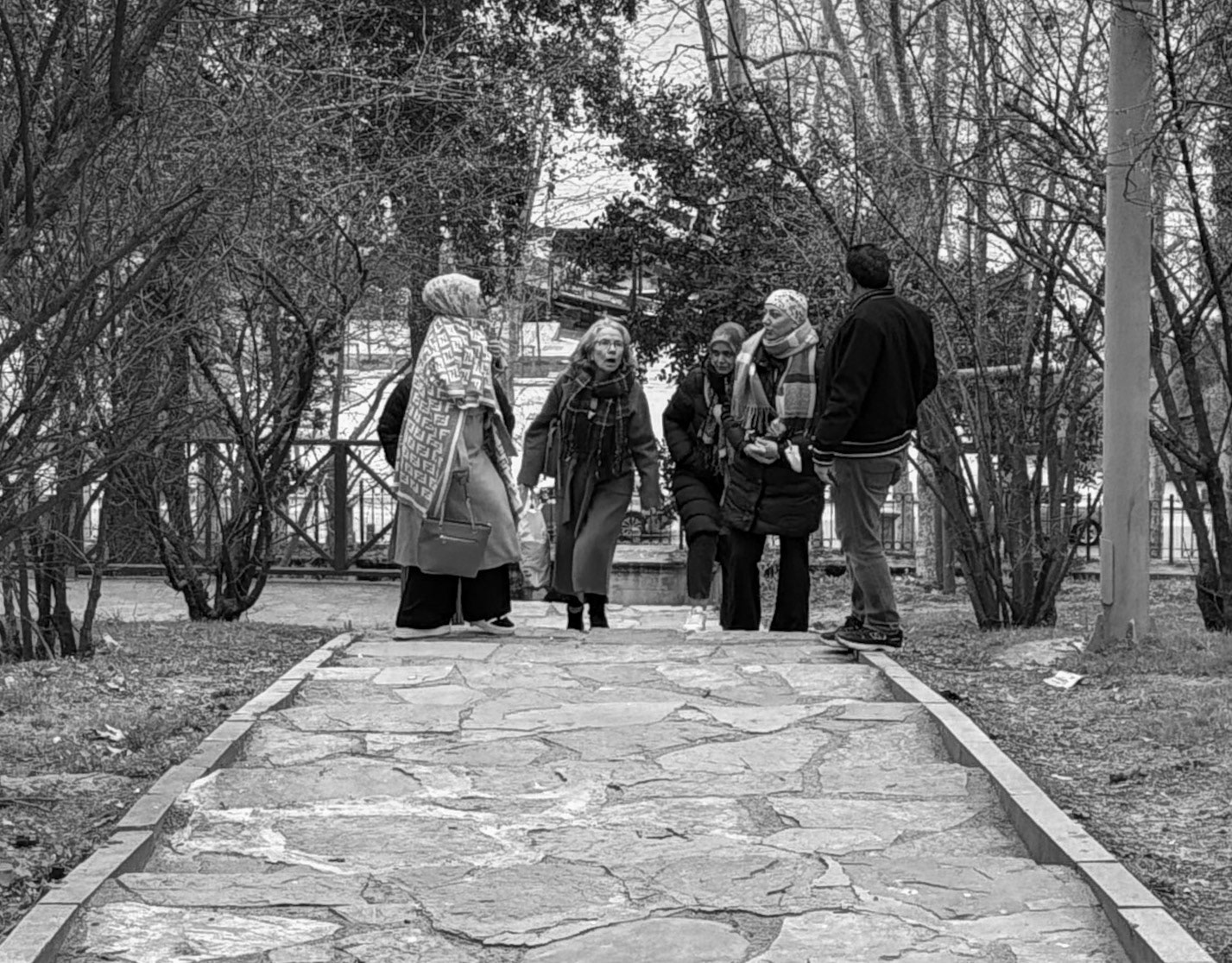 Beykoz Koru: dramatic moment