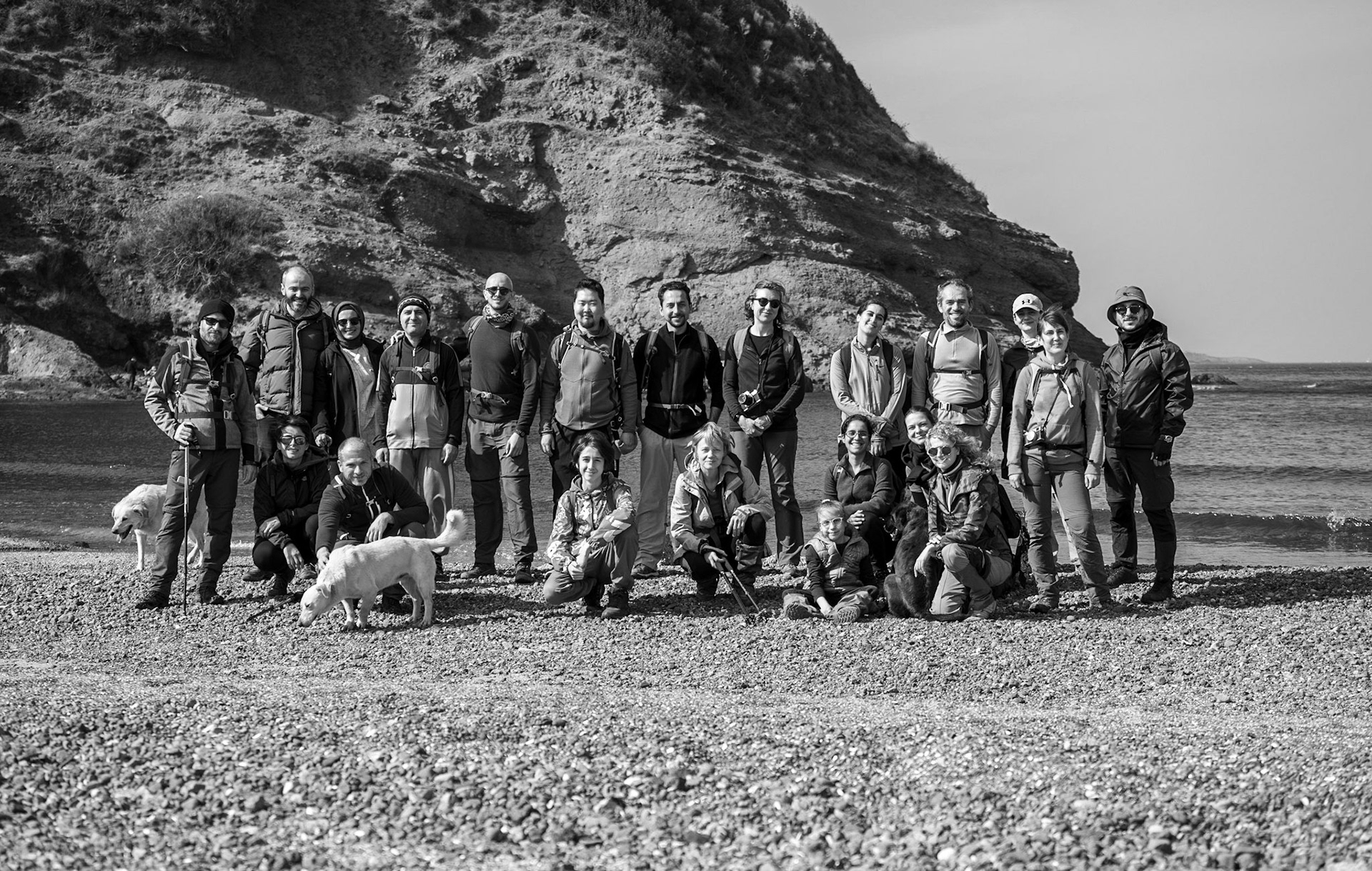 Yom beach: group photo with our 3 new daydogs