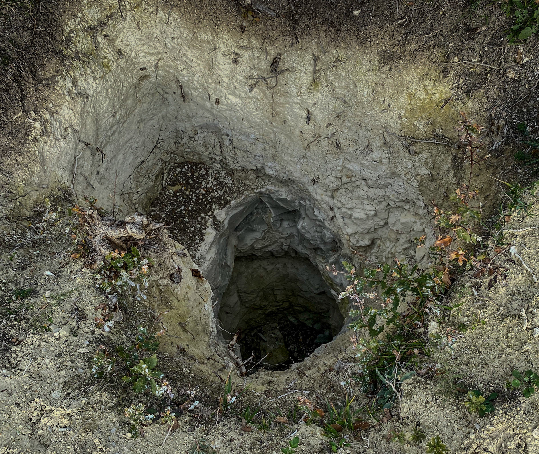 the site of Spradon (a city of the past): treasure-hunters' pit