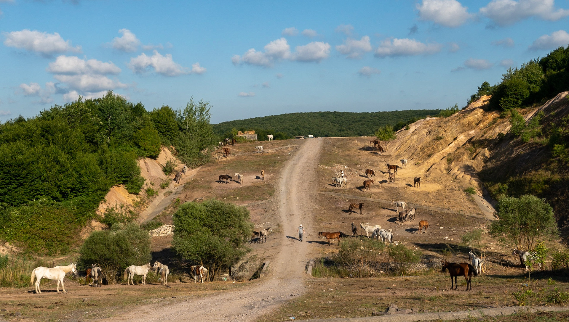 Ömerliköy watermain route: horses intended for Büyükada