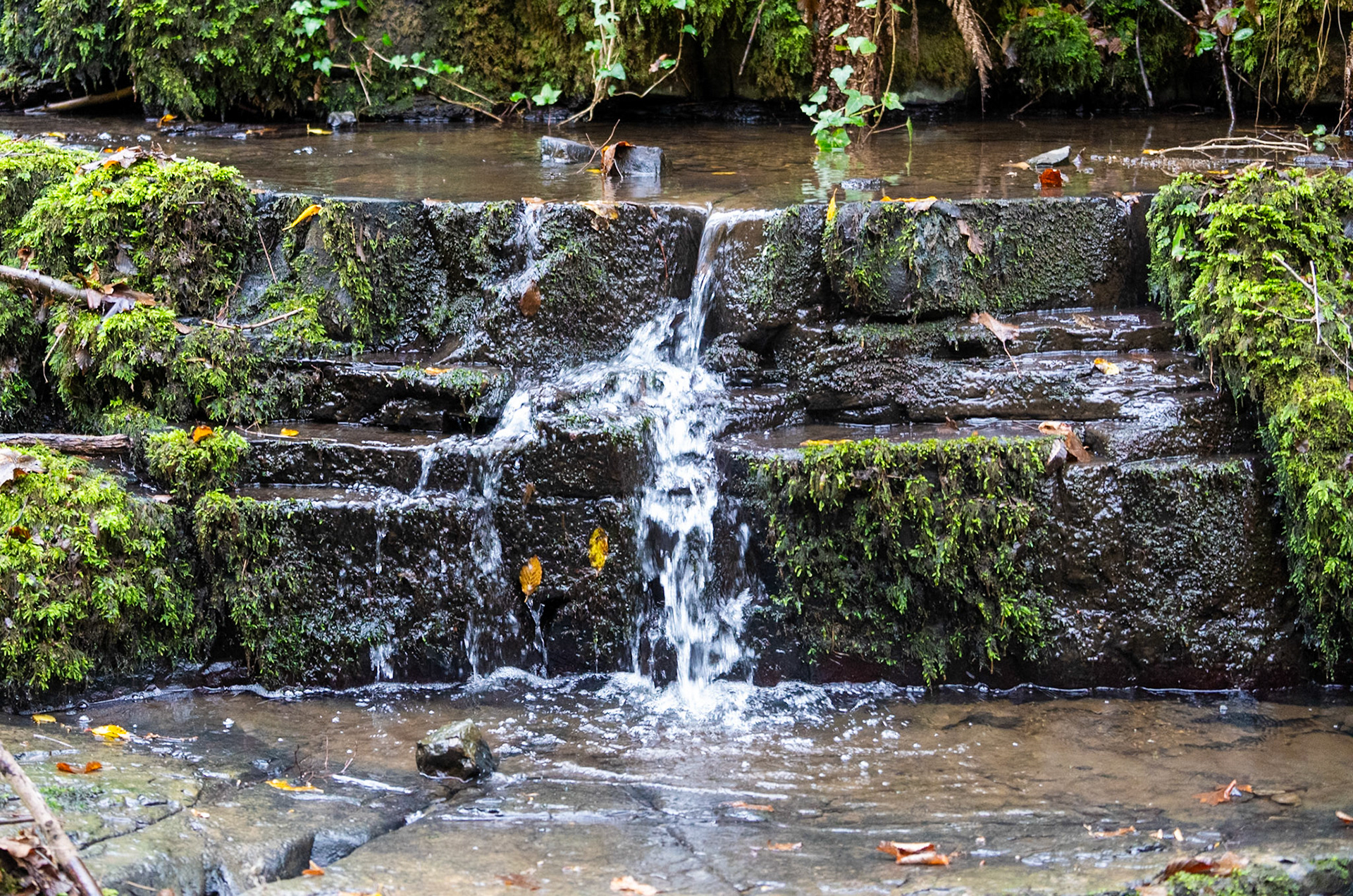 Ayhan Şahenk double stream walk: small waterfall