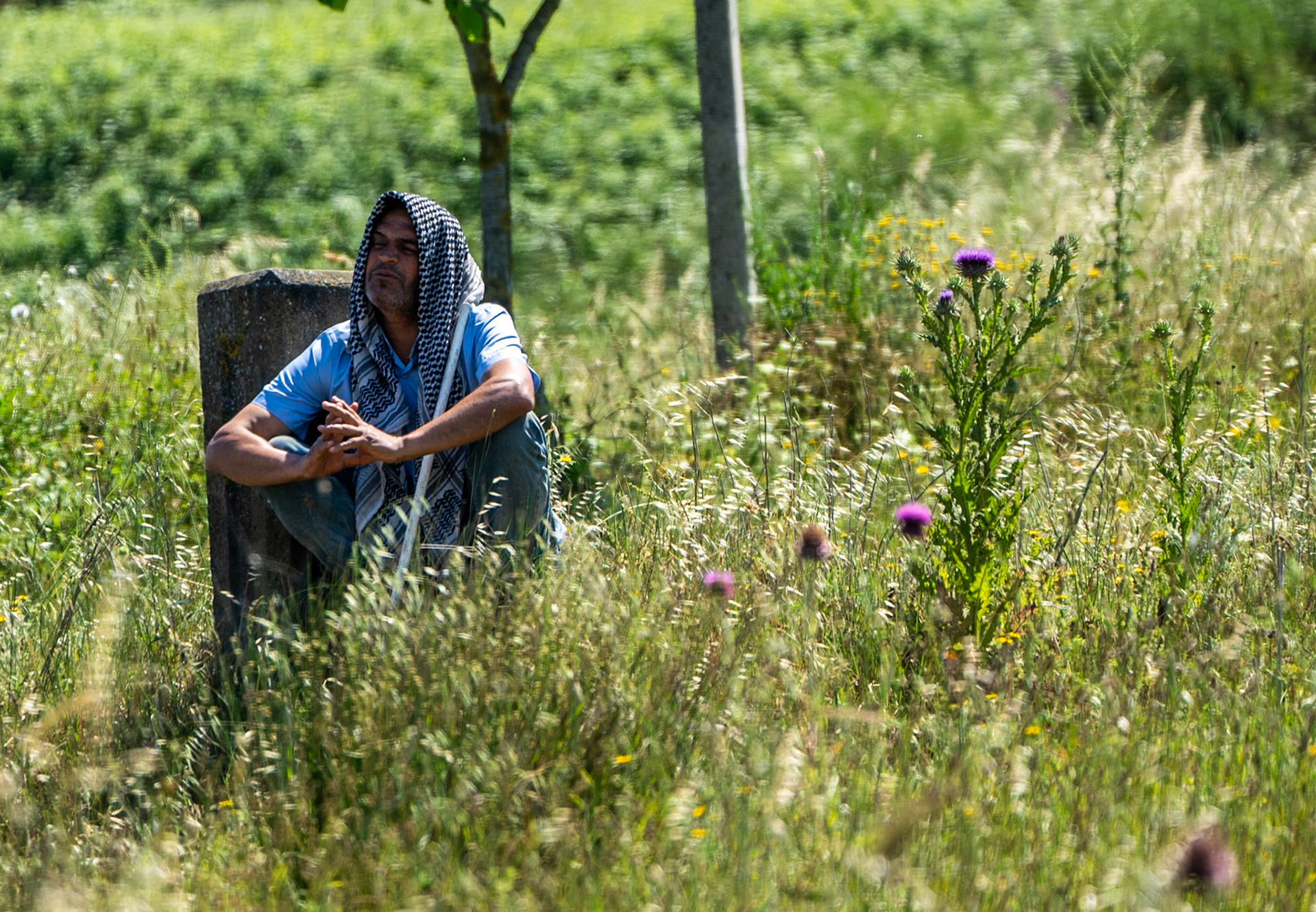 heading SW from Sazlıbosna: shepherd