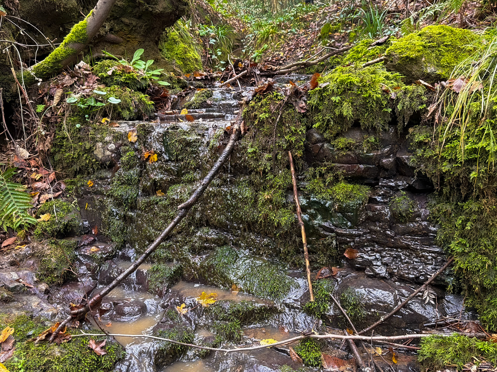 Kılıçlı southeastern stream walk: mossy ledge
