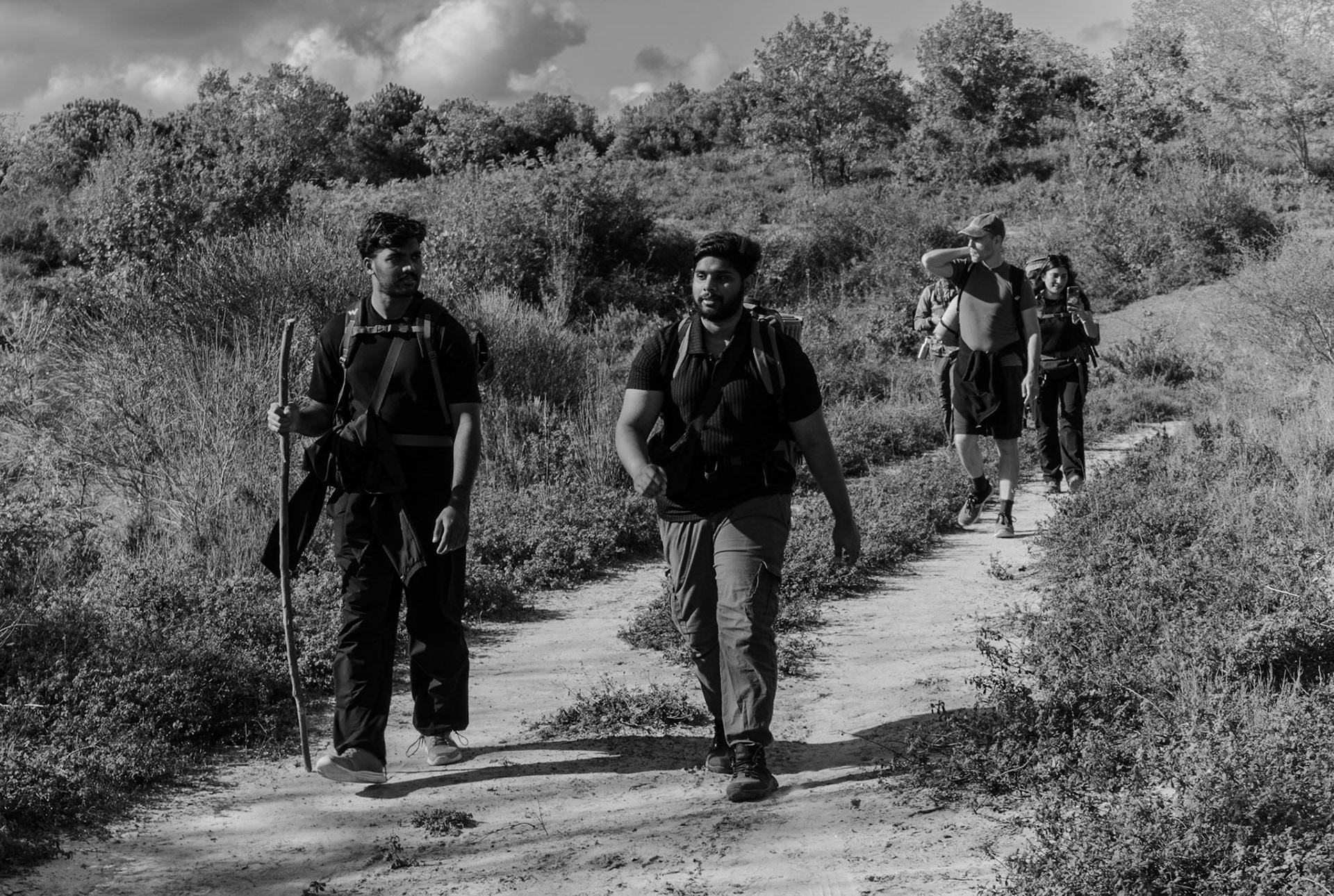 Doǧancılı western forest: the hikers today
