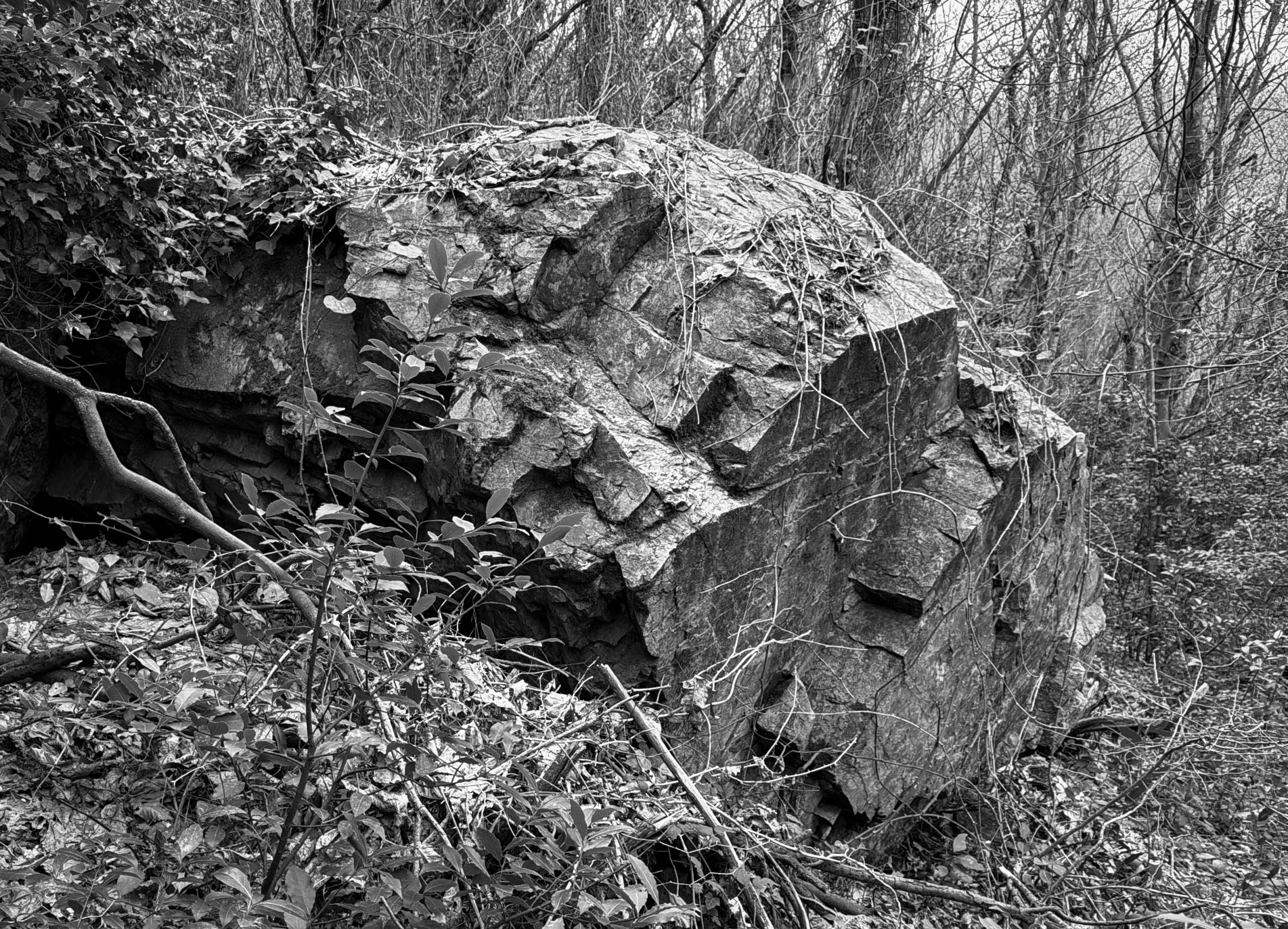 Dereseki forest traverse: rocky outcrop