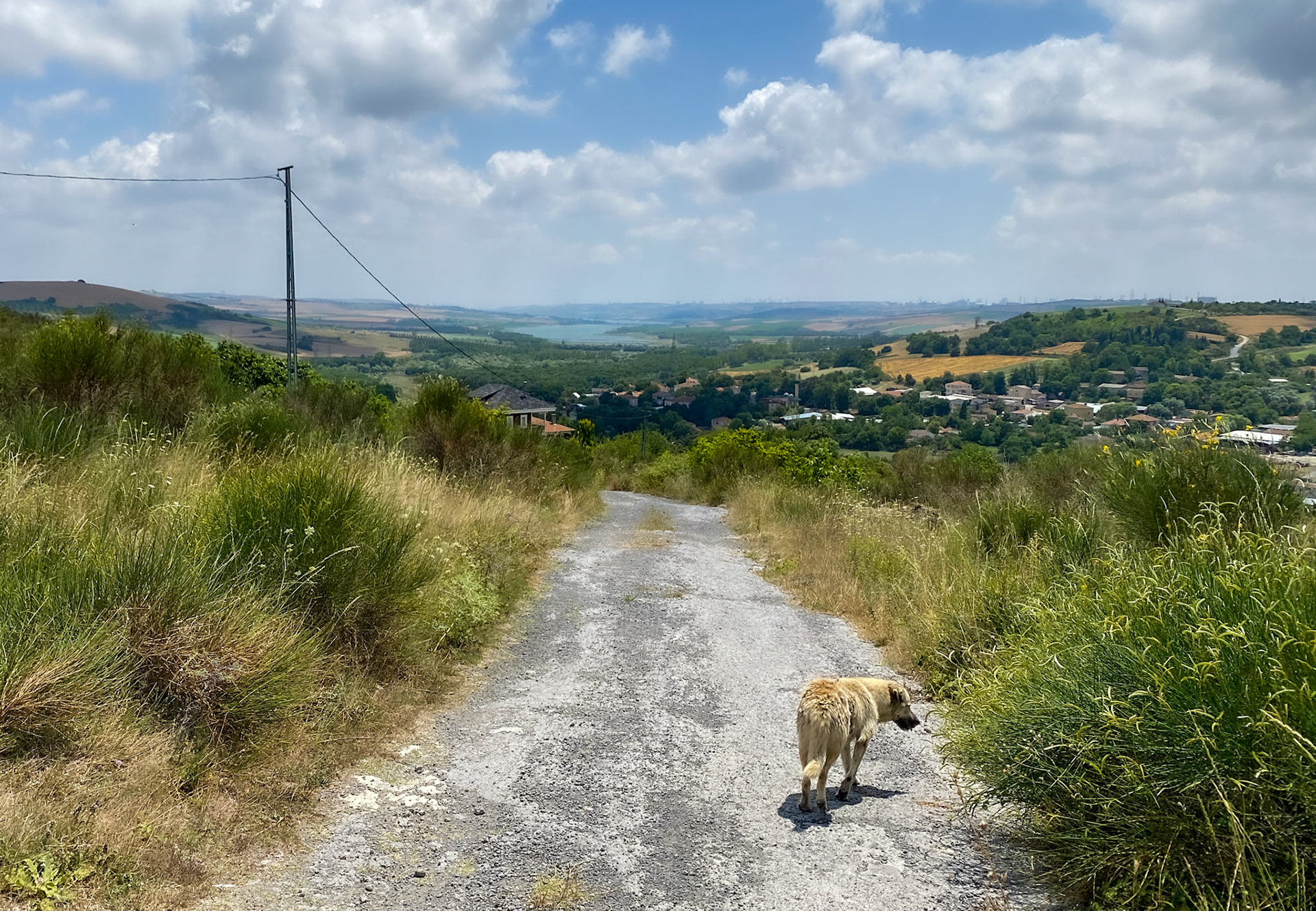 Dursunköy hill: view south towards Sazlıdere reservoir (and the route of Kanal İstanbul if it were to be built)