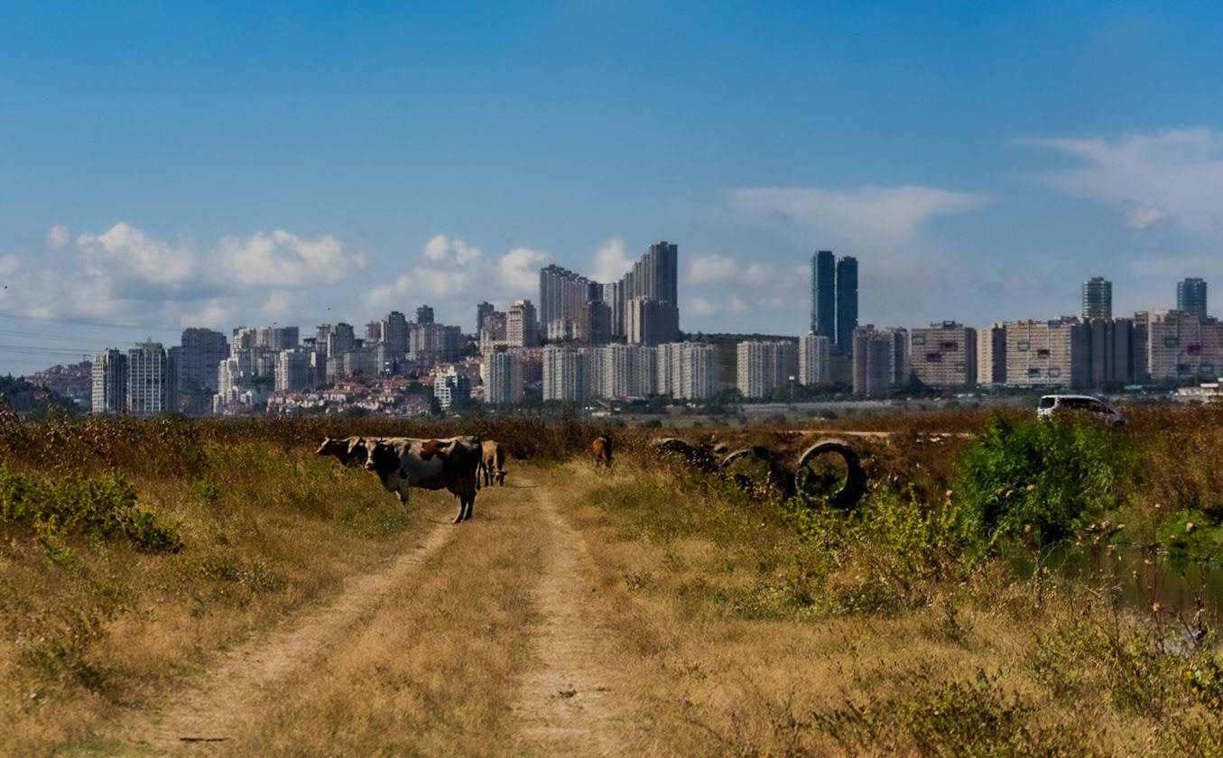 Eşkinoz bridge: view north towards Bahçeşehir with cows