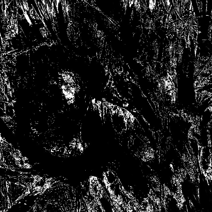 Zerzevatçı streamwalk: abstract tree