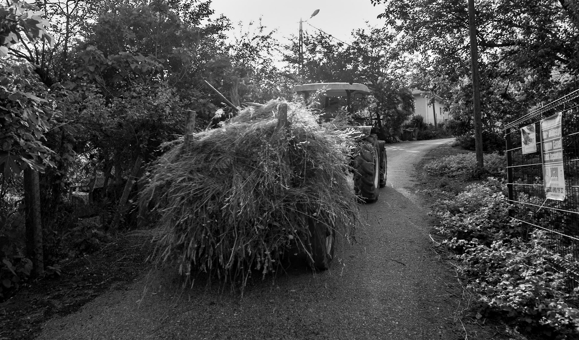 Paşaköy: tractor and hay
