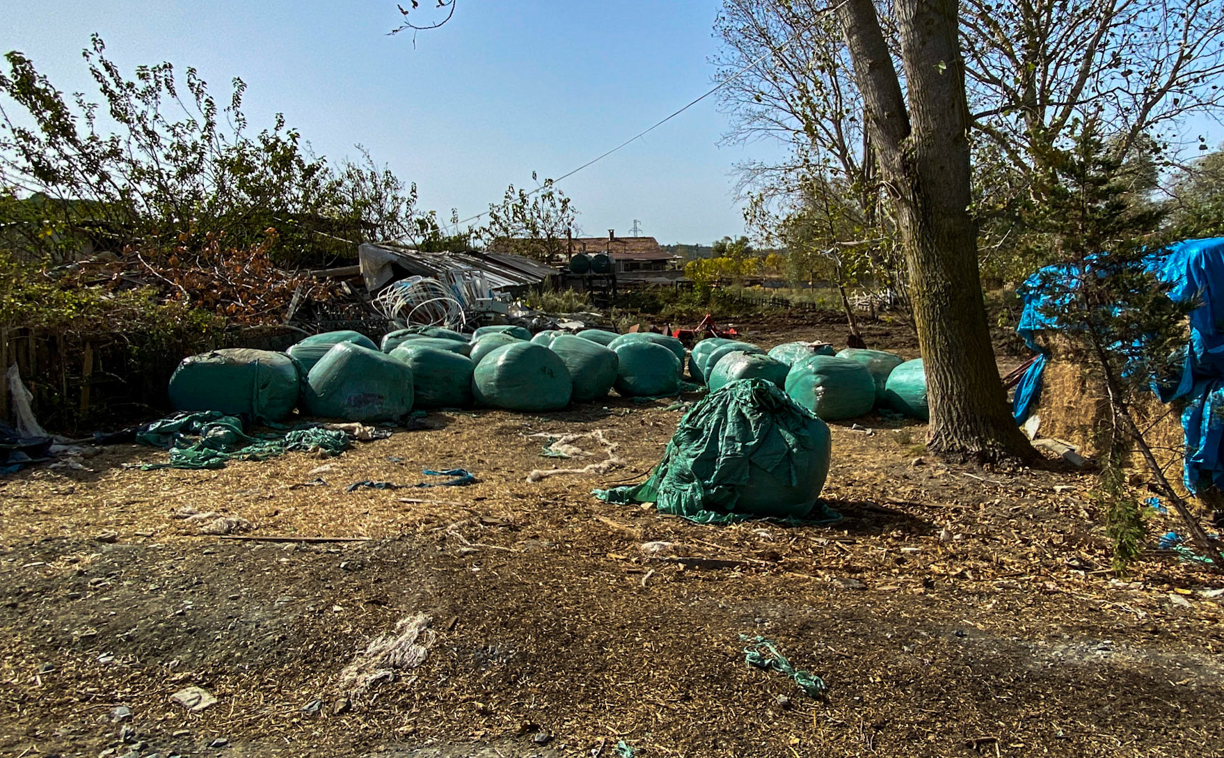 Terkos reservoir: bales in a farm