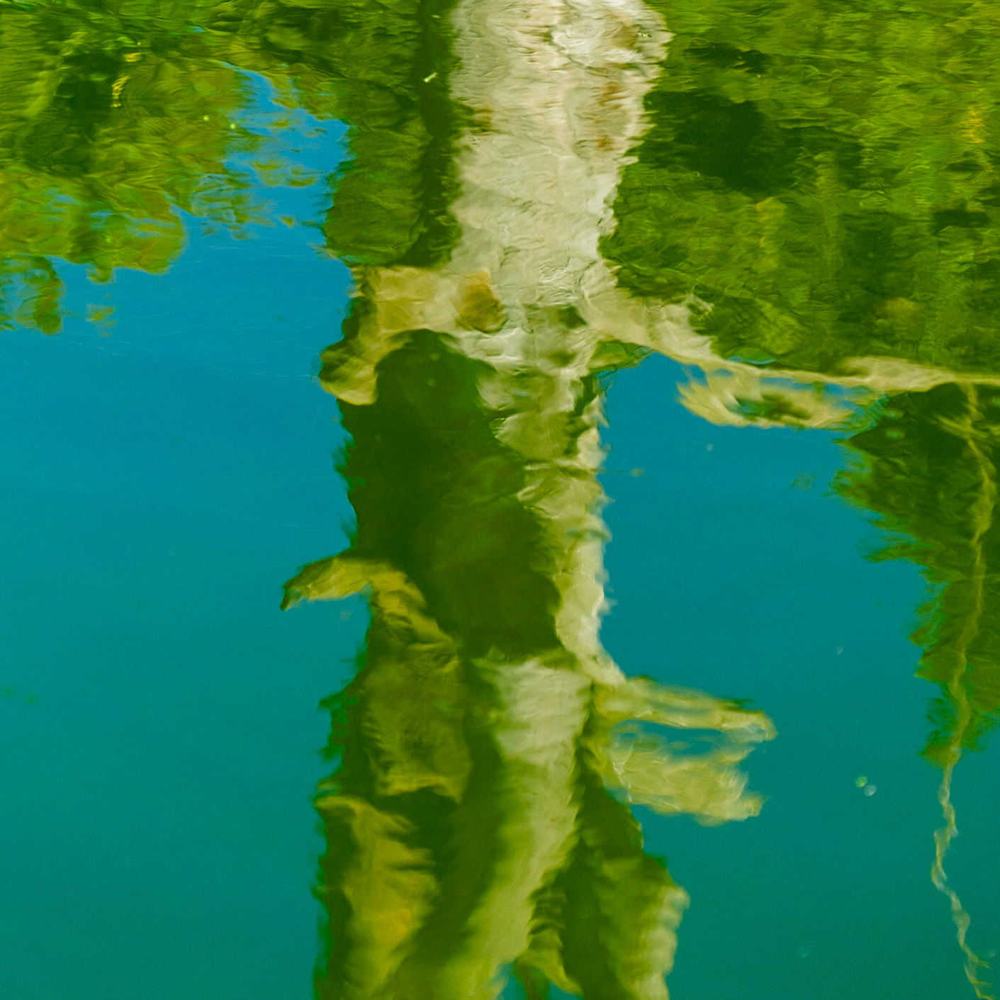 Ayazma river: reflected tree