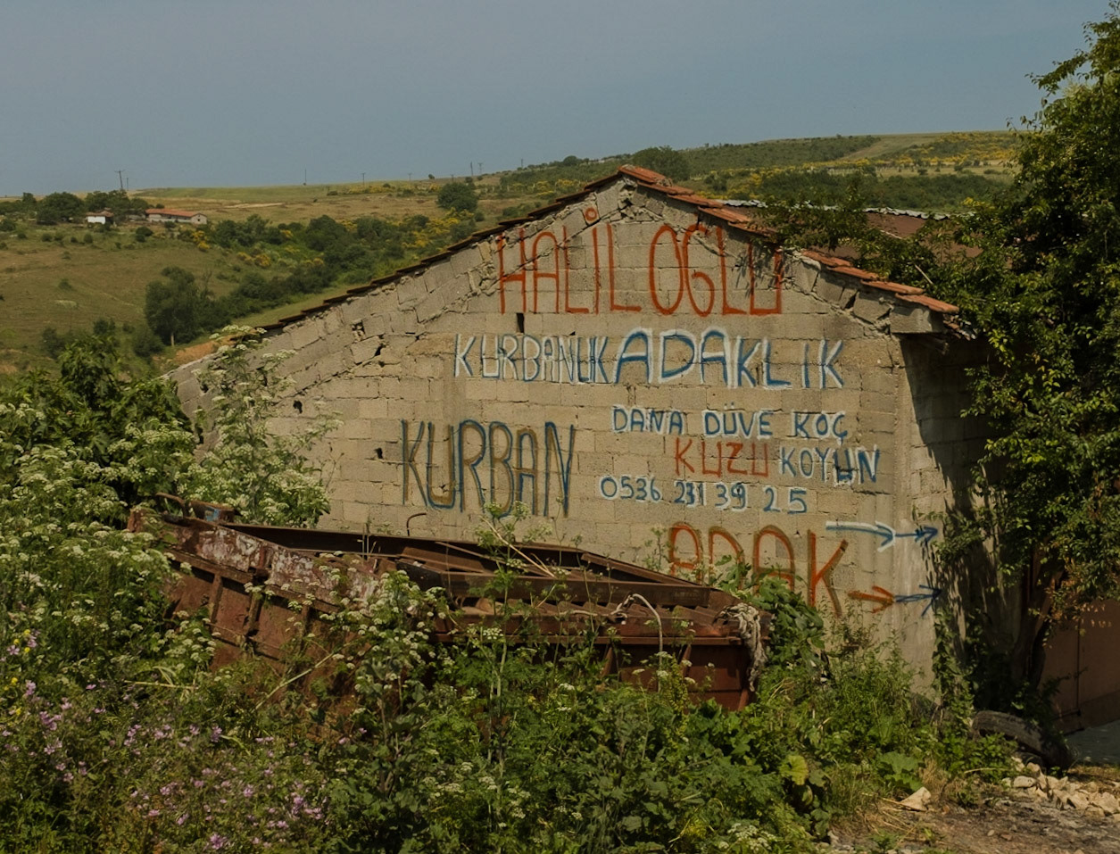 old Şamlar: get your sheep here
