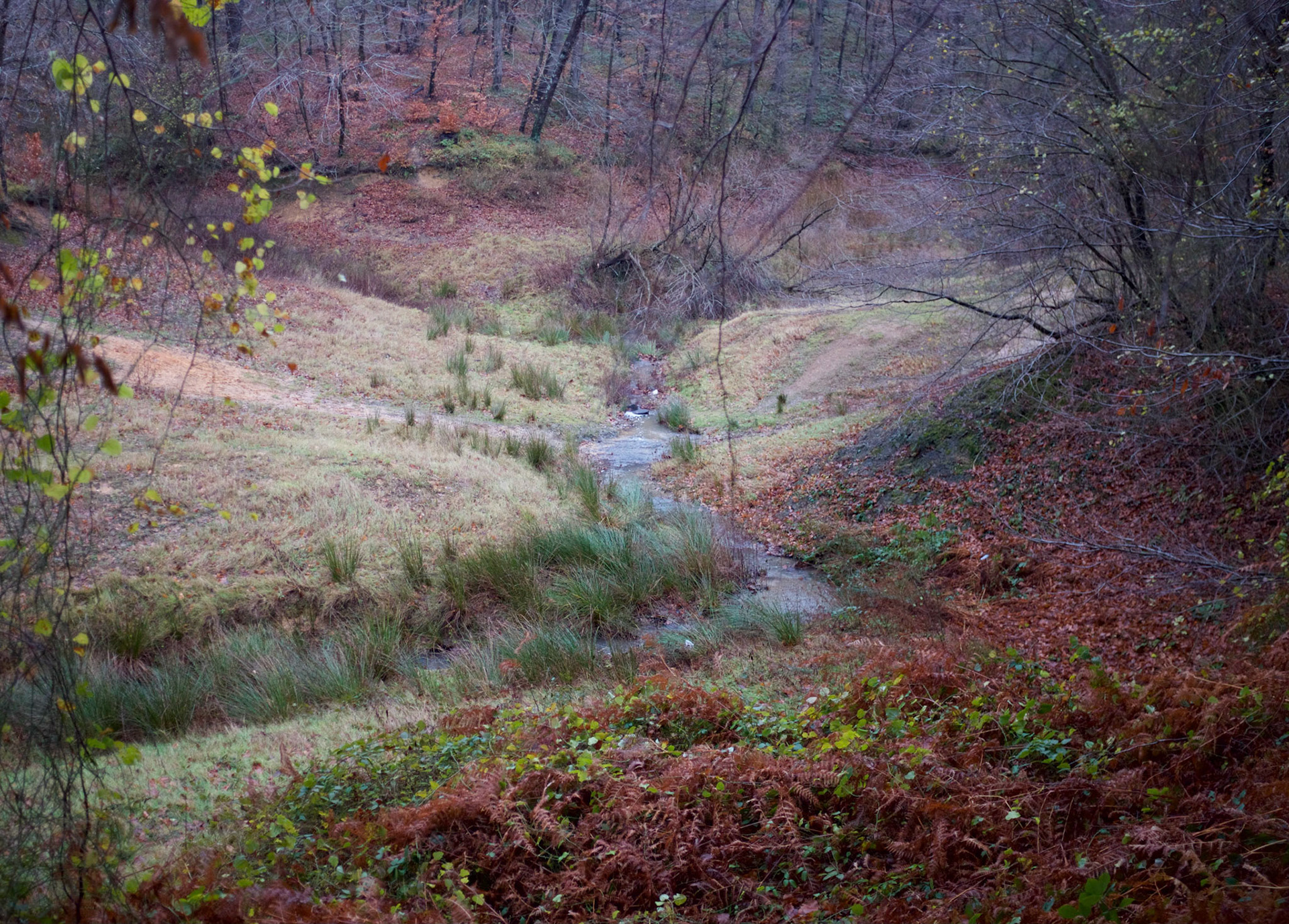 the exquisite little valley running into İkinici Mahmut Göleti