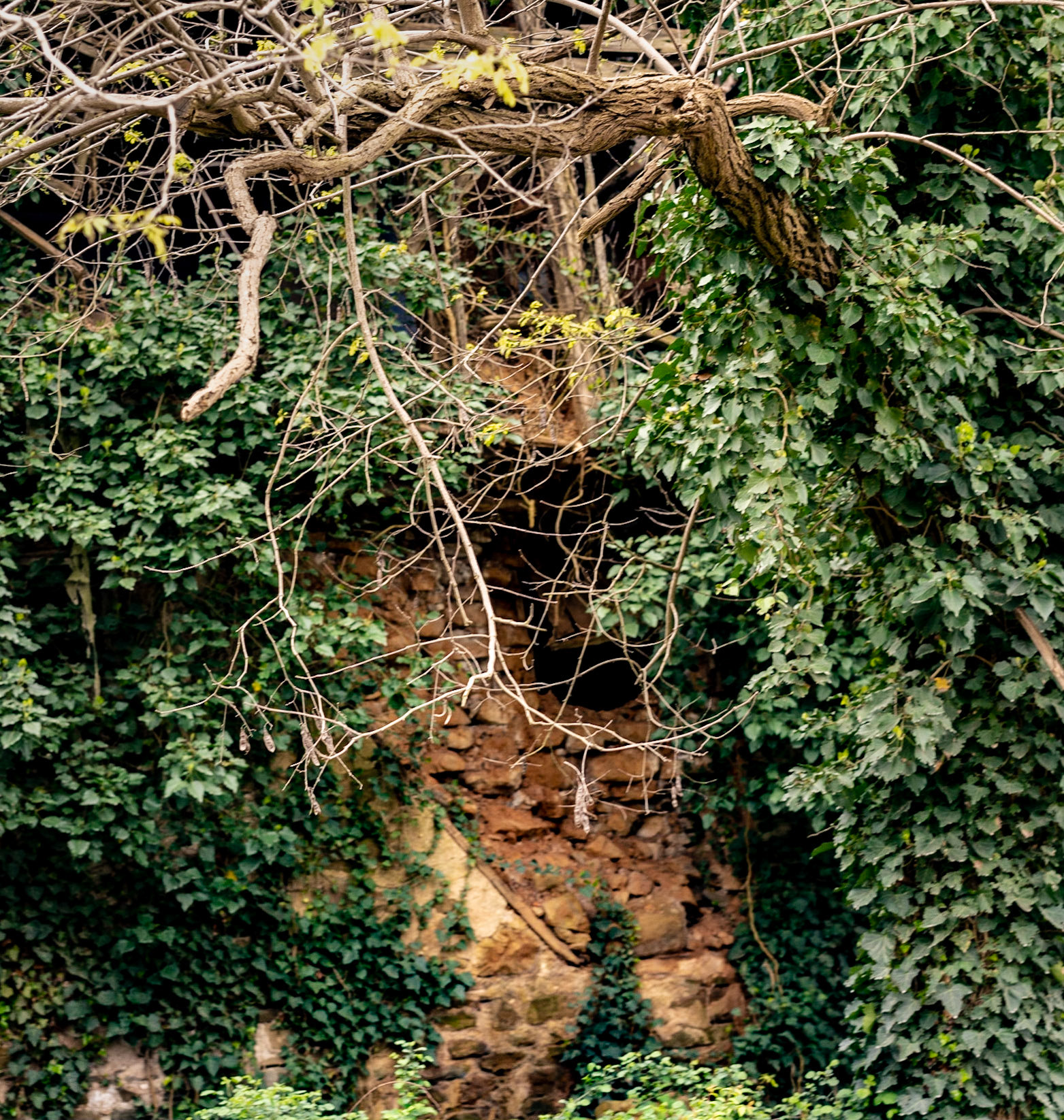 Kılıçlı Köyü: half-hidden old wall