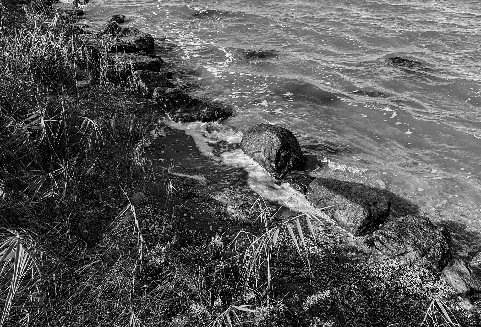 Bathonea south: (supposed) Roman harbour wall