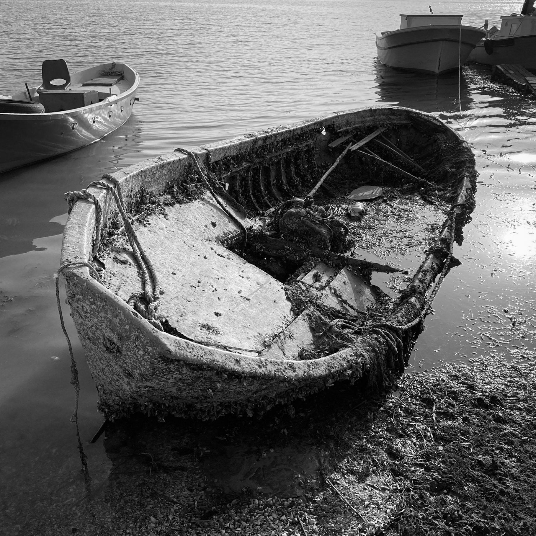 Trikos mudflats: half-sunken boat