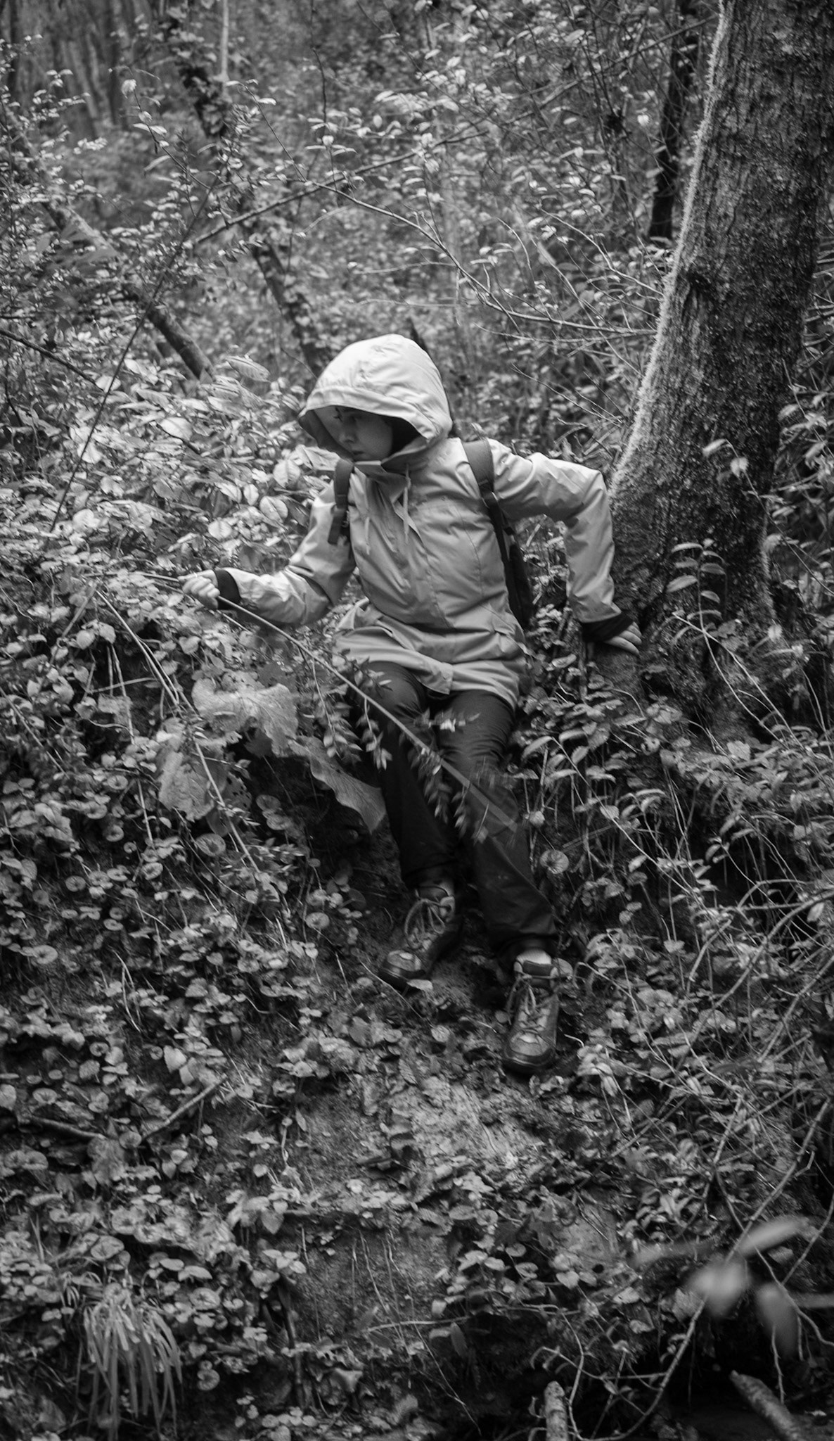 İshaklı forest: Kawter a'clambering down