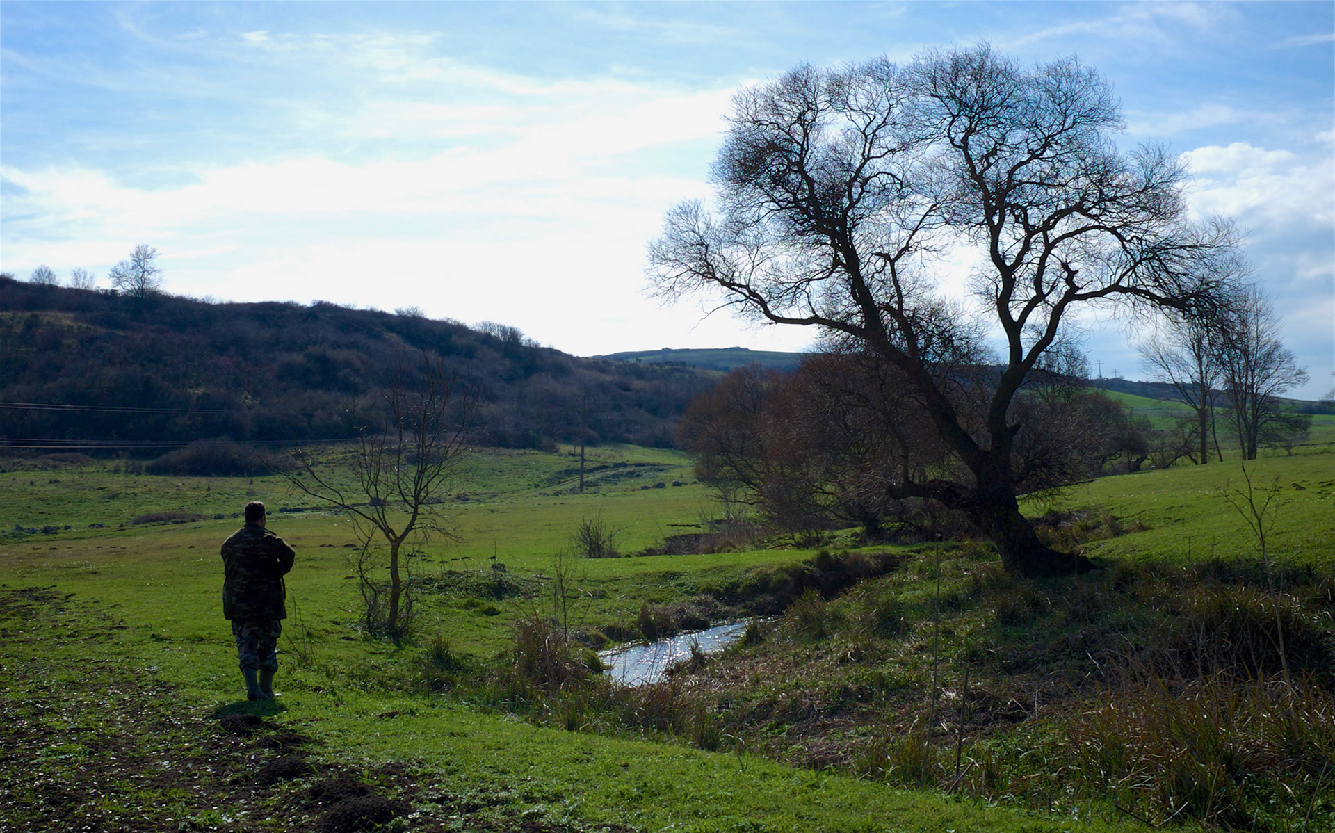in the shallow Sazlıdere valley between Baklalı &amp; Dursunköy: a surly bird-hunter
