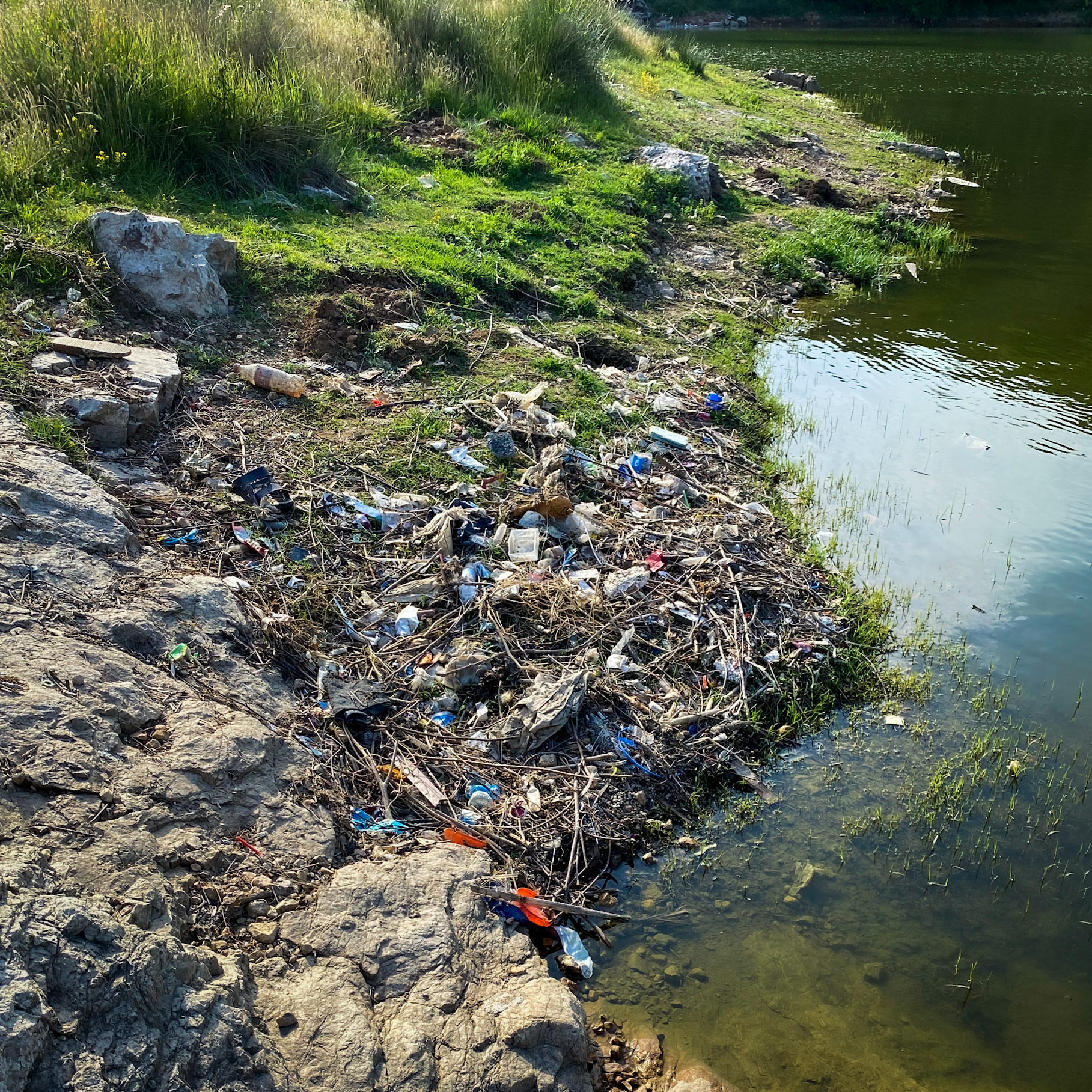 Paşaköy gorge: flotsam