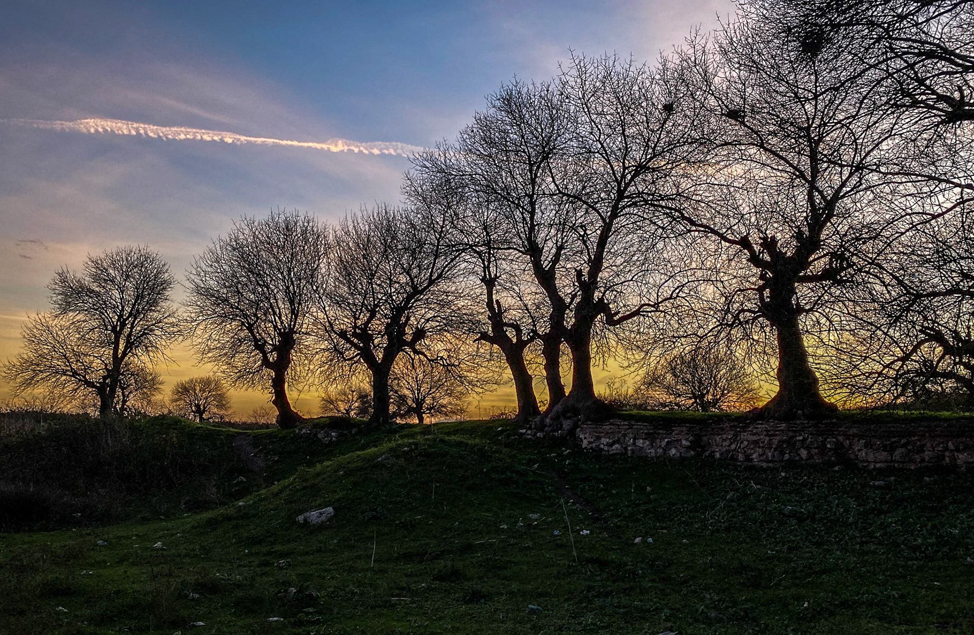Melentiade: old oaks and wall at sunset