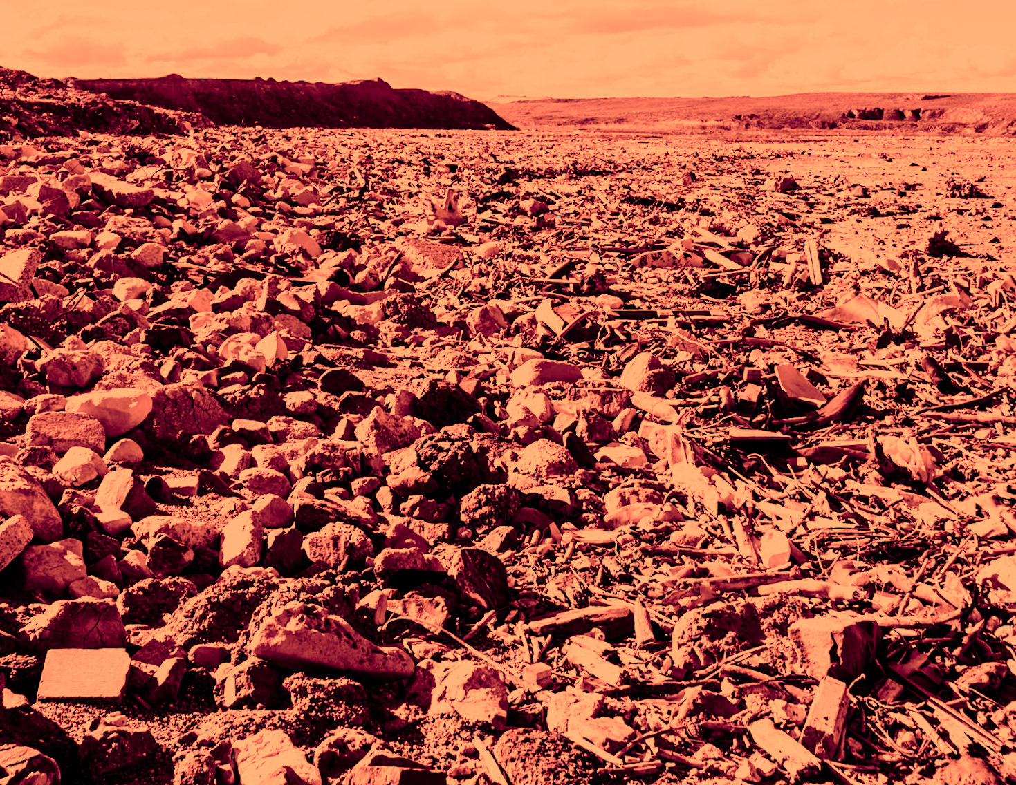 Black Sea coast east of Yeniköy: stones and flotsam