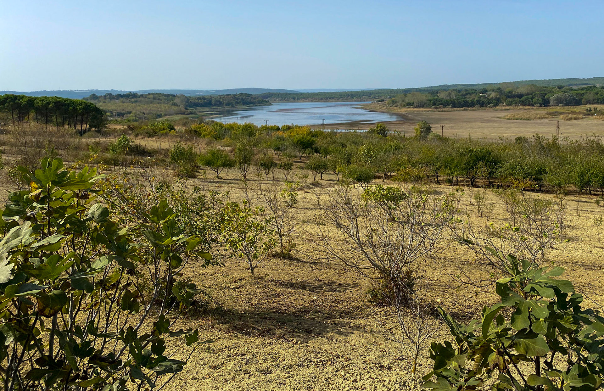 Terkos reservoir: looking west