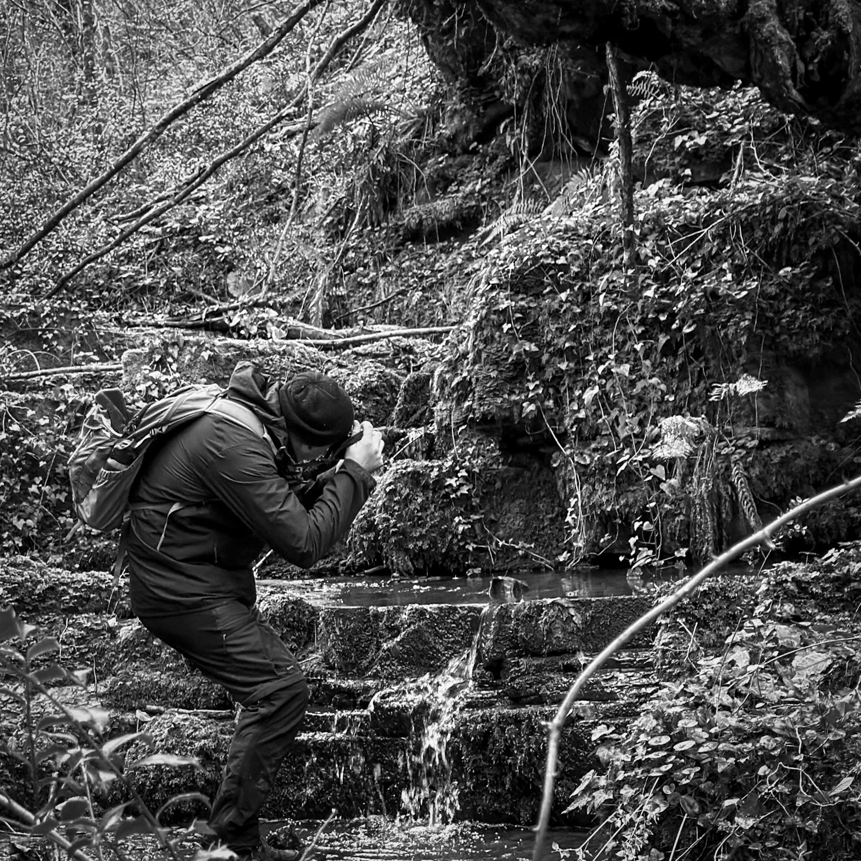 Ayhan Şahenk double stream walk: Özgür in Middle Earth