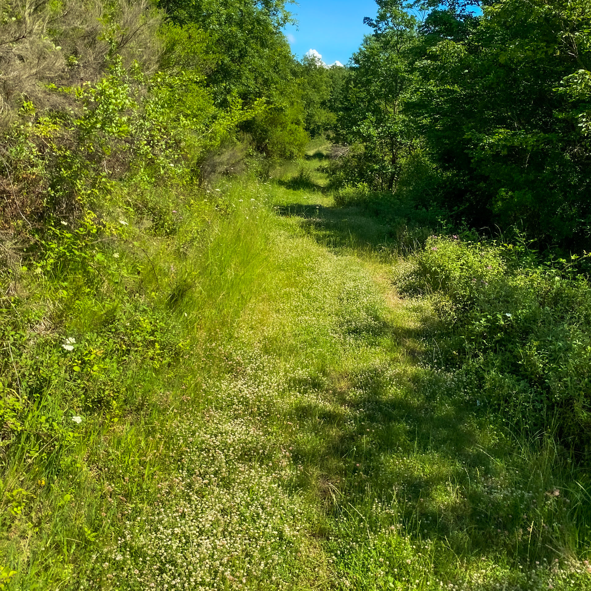 Yağcılar northwestern valley: green track