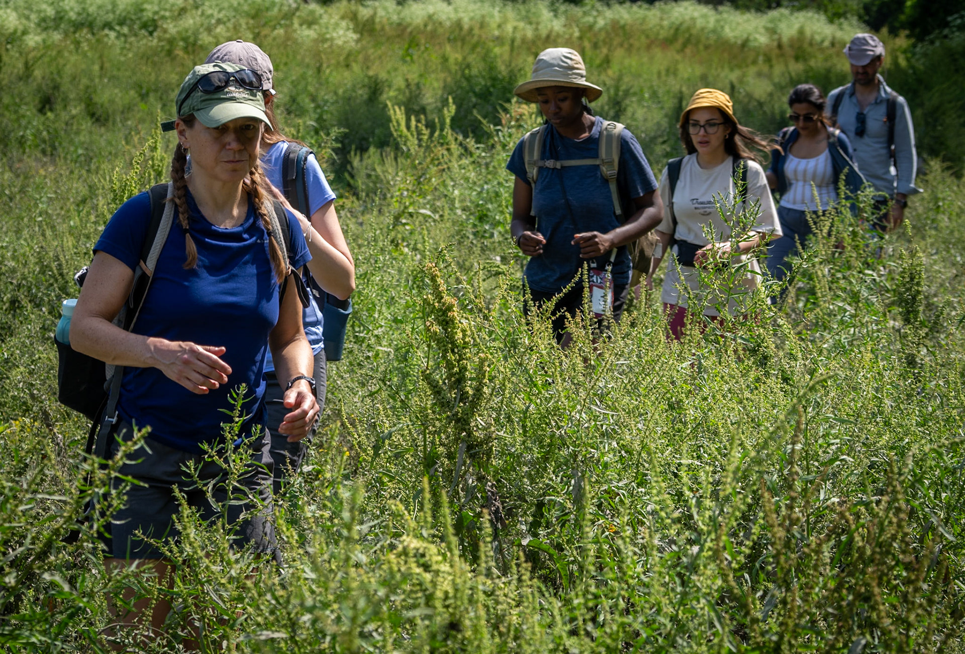 Değirmendere valley: making our way along a somewhat overgrown path