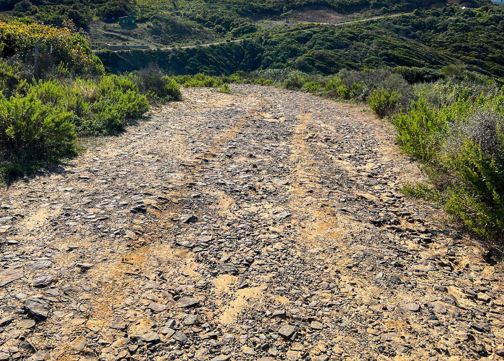 heading west along the line of the Black Sea: an imagined Roman road
