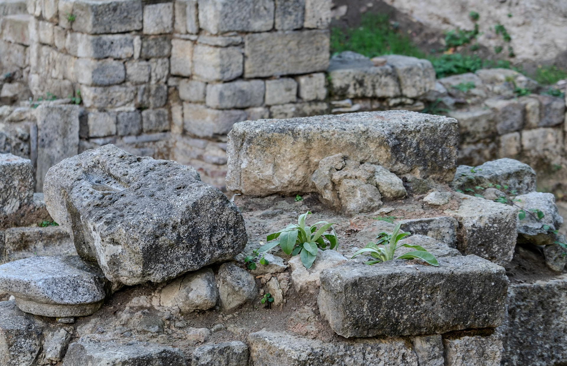 Bathonea north: Roman ruins