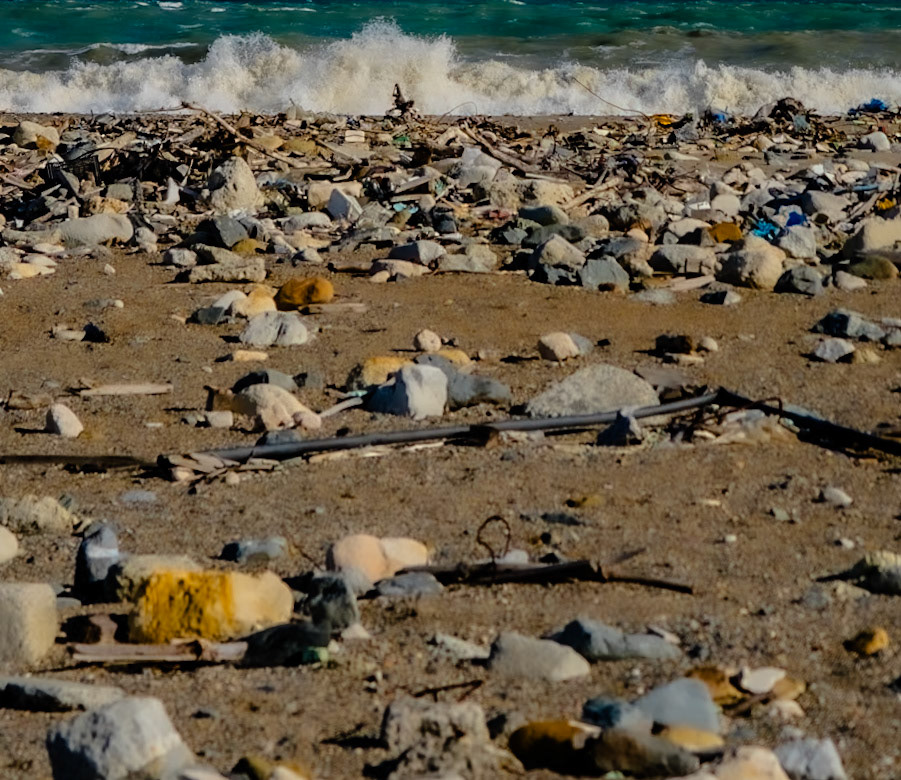Black Sea coast east of Yeniköy: flotsam, stones and sea