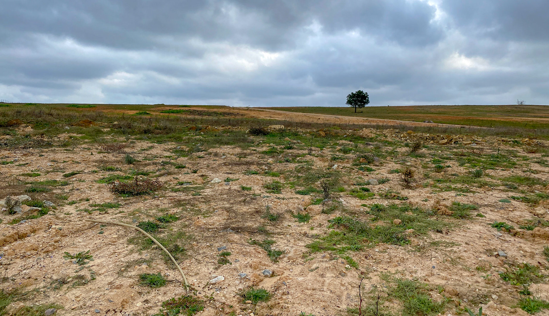 between Adadaǧ hills and Ömerli reservoir: poor farmland