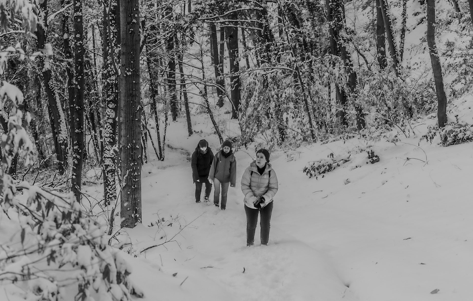Neşet Suyu forest: moving uphill on snow is tiring