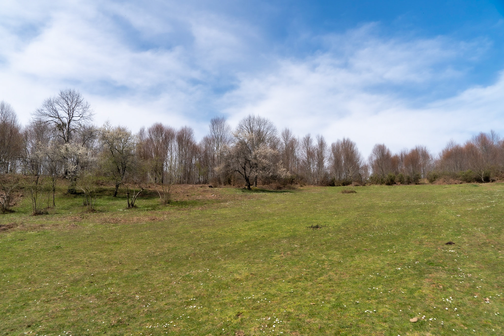Mahmut Şevket Paşa's hills: a pasture