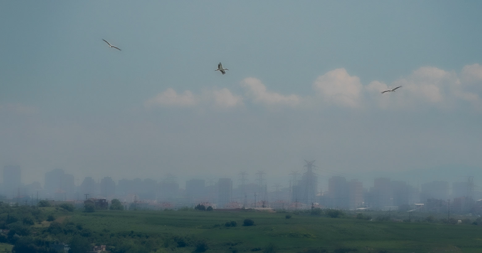 Kocabayır Hill: storks flying above the top of the hill