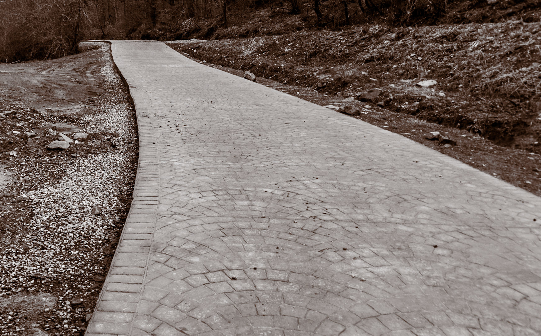 Polonezköy forests: walkway