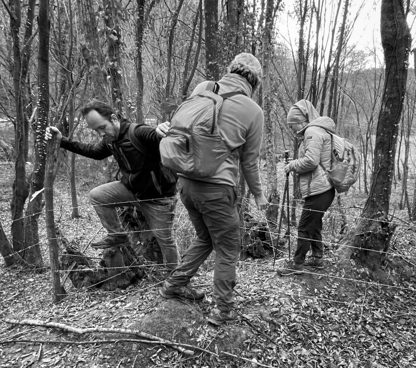 Polonezköy forests: fence crossing