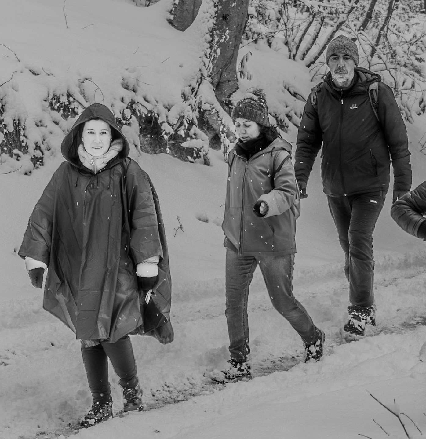 NE Belgrade Forest: our mood lightens