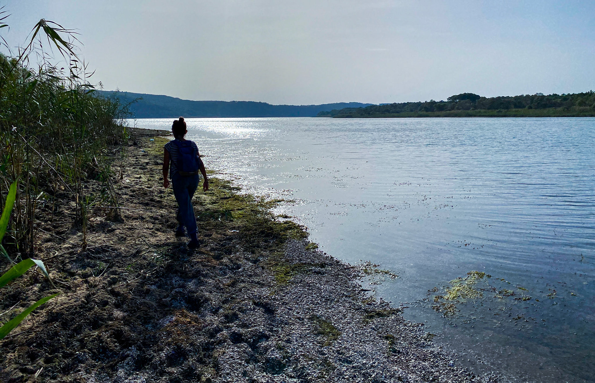 Trikos mudflats: view west with Seda