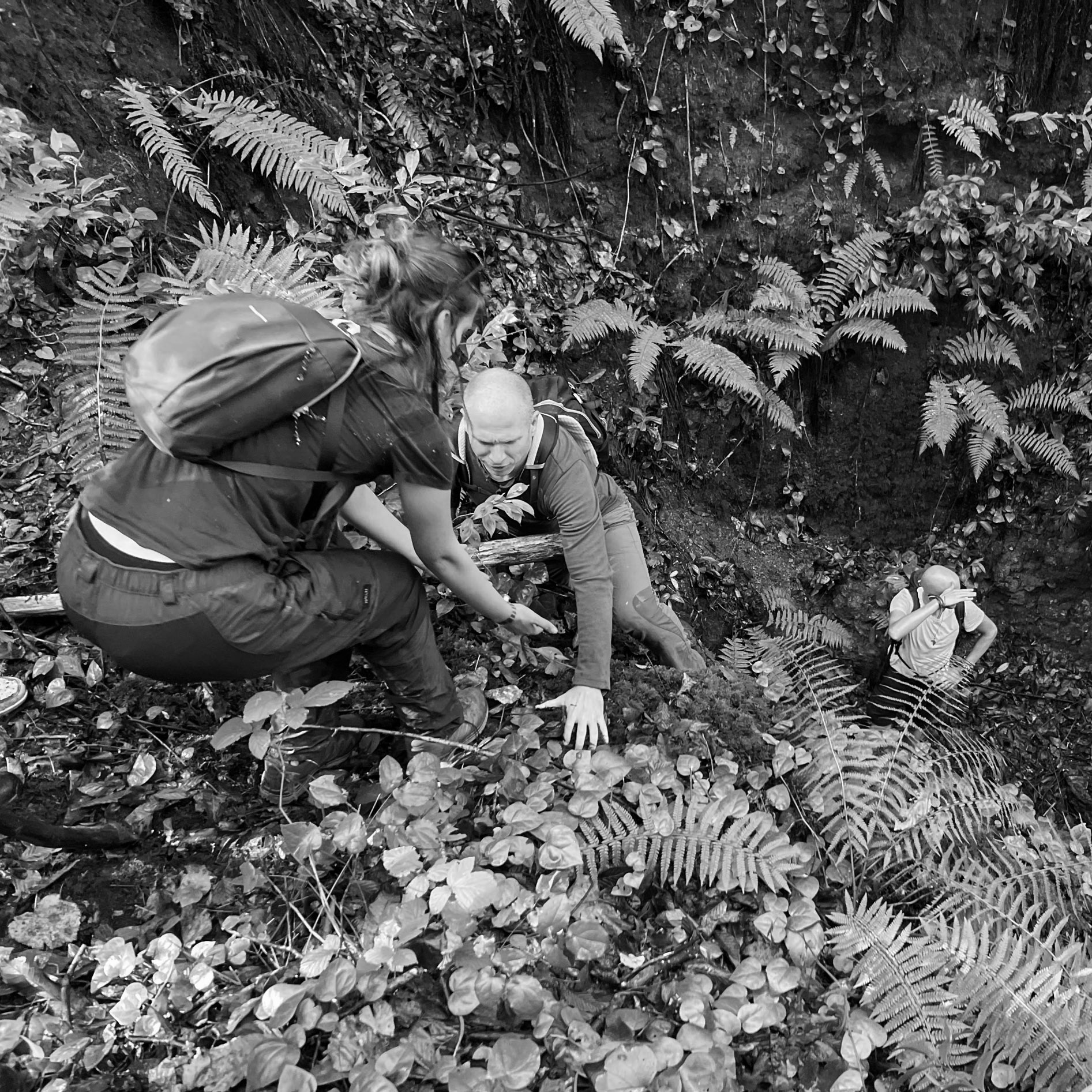 A Riva river tributary streamwalk: leaving the stream