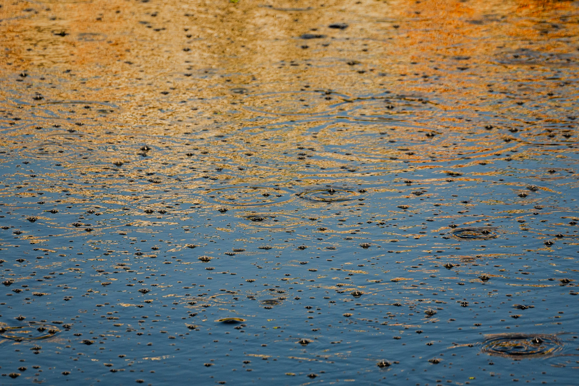 Sazlıdere stagnant river walk: frothing water